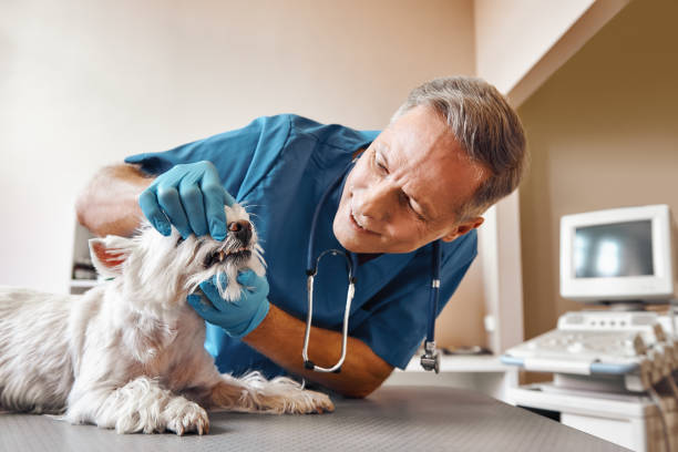 Best 24-Hour Emergency Dentist in Henderson, TX