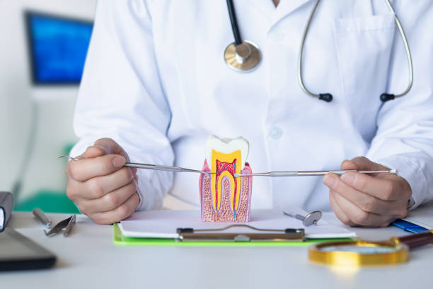 Best Emergency Dental Services for Seniors in Henderson, TX